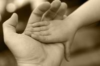 Droit de la responsabilité